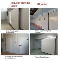 TIBO Medium Large Home Use Full Set Refrigerated 2-Door Container Mobile Small Meat Freezer Cold Room Storage 220V/380V 1 Tahun Garansi