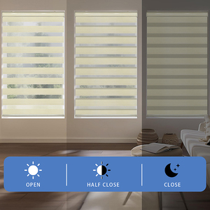 Cơ giới công nghiệp Đồng bằng ánh sáng Lọc ngựa vằn vải Con lăn rèm cửa Sheer Rèm màu được xây dựng trong cài đặt Điện - Product Image 5