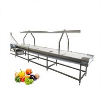 Fabrieksleveringsprijs Dubbele Enkelvoudige Laag Sorteerbaan Motor Groente Fruit Pluktafel RVS 304 1.5KW