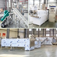 Machine de fabrication d'extrudeuse d'aliments à petite échelle pour bouillie instantanée pour bébé