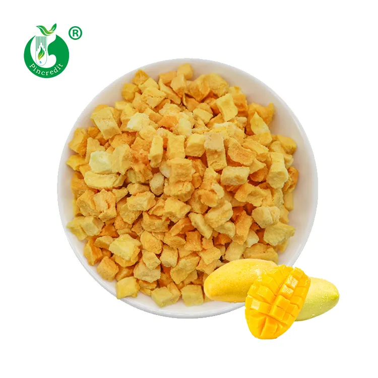 Wholesale Top Quality 100% Natural Freeze Dried Mango Fruit in Powder Slices and Dice