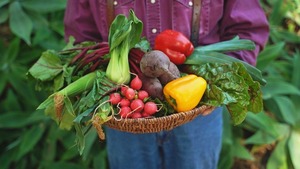 Cadeaux de jardin <span class=keywords><strong>pour</strong></span> femmes, enfants et débutants - Kit de 12 variétés de légumes 5100 prêt à planter <span class=keywords><strong>pour</strong></span> votre propre jardin - Product Image 4