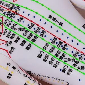 टीसेमी एक्यूपॉइंट मॉडल एक्यूपंक्चर आकृति चीनी pvc दवा लेटरिंग पुरुष और महिला मानव शरीर मॉडल - Product Image 3