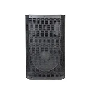Accuracy Pro Audio CAC15AHH-220W Professional Audio AHH Amplifier Plastic Powered Plastic Speaker Sound System 15" Inch Speaker