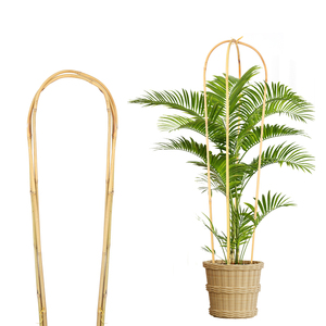 24 "60cm bambu U kafes desteği 16 inç U döngü bitki bahis Arch bahçe saksı bitkileri tırmanma çiçekler için kafes - Product Image 2