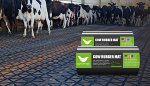 Tapete de Goma para Ganado Vacuno Lechero, Superficie de Descanso Cómoda y Duradera de Alta Resistencia, Dureza Shore 38-65, Modelo 17 T&H - Product Image 2