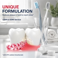 Dentifrice au fluorure OEM/ODM pour les gencives qui saignent et les soins des gencives, dentifrice ultra-nettoyant pour l'élimination de la plaque dentaire, 75 ml