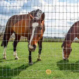 Premium Vee Schapen Gaas Hek Met Hete Verkoop Lowes Boerderij Hek Uiterlijk