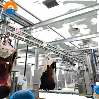 Ligne de traitement de bétail halal professionnelle clé en main, en acier inoxydable, haute productivité 800bp/h
