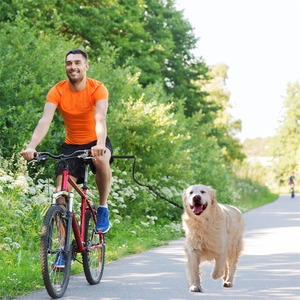 Guinzaglio per cani da bicicletta multifunzionale da viaggio all'aperto a mani libere per cani da allenamento da Jogging ciclismo guinzaglio per bici accessori per cani - Product Image 6
