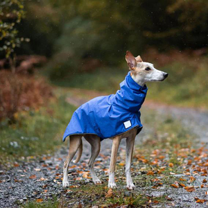 Ropa, Artículos de Decoración Navideña, Poncho, Capa para Mascotas, Impermeable para Whippet, <span class=keywords><strong>Chubasquero</strong></span> para <span class=keywords><strong>Galgo</strong></span>, Chaqueta Impermeable para Perro - Product Image 1