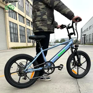 QUEENE Cycle Dirt Vtt Vélo Pliable Ebike 750W 20 Pouces Suspension Complète Gros Pneu Pliant Électrique VTT Pour Les Adolescents