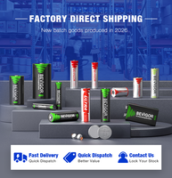 Paquete de Baterías Recargables AA NiMH de 1.2V y 2000mAh para Linterna y Juguetes - Ecológicas con 1500 Ciclos de Vida Útil