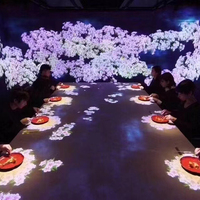 Projecteur holographique numérique, projection holographique 3D, table de restaurant, KTV, projection interactive