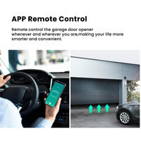 Module de commande DIY intelligent Zigbee avec minuterie pour ouverture de porte de garage motorisée et de portail