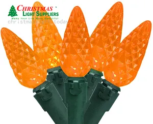 Kunden spezifische mehrfarbige 70 Zählungen Facettierter Schnitt Kristall LED C6 Lichterketten Weihnachts lichts trang facettierte LED C6 Lichter