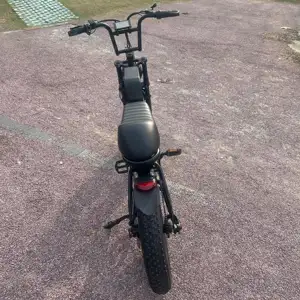 China Factory Electric Bicycle For Old People Children