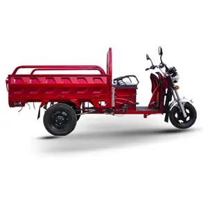 EEC COC truk sepeda motor tiga roda, kargo elektrik sepeda tiga roda dengan kabin