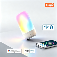 Lampe d'ambiance LED DIY avec contrôle par application Wi-Fi pour Alexa et Google Assistant, options de couleurs RVB, alimentée par batterie, veilleuse de chevet