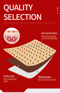 10 penjualan terlaris pasokan kesehatan Patch ekstrak Herbal nyaman untuk nyeri punggung menampilkan lada ahli hidup Garut - Product Image 3