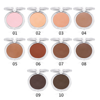 Fond de Teint Compact Naturel OEM Contrôle Sébum Marque Privée Imperméable Fini Mat Protection Solaire Teint Clair Maquillage Minéral