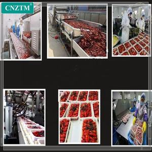 Línea <span class=keywords><strong>de</strong></span> Producción Industrial Automática <span class=keywords><strong>para</strong></span> el Lavado, Blanqueado, Cocción y Congelación <span class=keywords><strong>de</strong></span> Camarones, Langostas, Langostinos y Cangrejos - Product Image 2