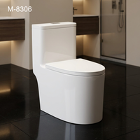 WC monobloc contemporain en céramique intégrée, blanc, à poser au sol, en porcelaine émaillée lisse pour salle de bain