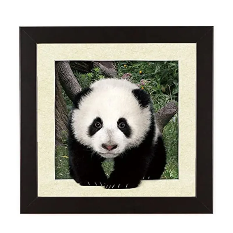 Hot Selling Wholesale 3d Lenticular Flip Foto 3d Veranderende Foto Canvas Wall Art Esthetische