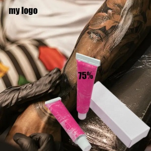 High-Quality Direct From Factory 10g Tattoo Cream Tattoo Removal Eyebrow Gel and Powder Portable Tattoo <b>Workstation</b> - Product Image 1