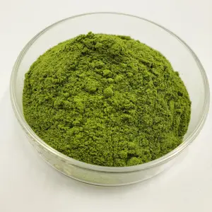 Natural Broccoli Extract/ Pure Broccoli Sprout Extract Powder With Bulk Sale Broccoli Juice Powder