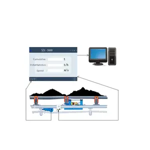 China Supplier ICS-20A Detection Machinery Conveyor Belt Scale Auto Weighing Machine