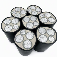 Câble d'alimentation en aluminium isolé XLPE LSZH à faible émission de fumée et sans halogène WDZ-YJLV 3*120+1*70 0,6/1kV, câble ignifuge basse tension