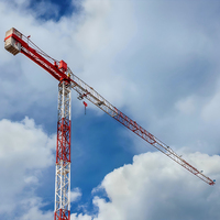 Cran de construction de marque chinoise durable avec rapport d'inspection complet pour les projets de construction à grande échelle