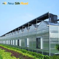 Panneau de toiture en polycarbonate, serre en acier de luxe, tôle en acier PC multi-voûtes, serres agricoles de grande taille pour jardin