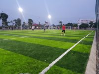 Gazon artificiel pour terrain de football en gros AVG, revêtement de sol sportif pas cher, gazon artificiel pour le football