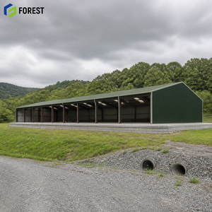 Almacén de Acero Prefabricado sin Columnas, Instalación de Almacenamiento de Gran Envergadura, Centro de Distribución de Mercancías Industriales - Product Image 1