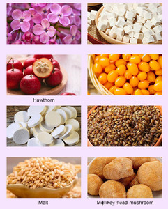 Thé aux herbes biologique 100% sain de Winstown, complément alimentaire, mélange de thé aux champignons et aux clous de girofle, marque privée, meilleur thé pour la santé et le bien-être, sachets de thé - Product Image 2