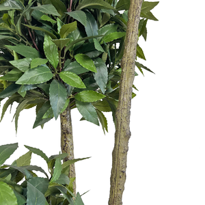 Réaliste 160cm Artificielle Laurel Bay Tree Faux Plastique Vert <span class=keywords><strong>Feuille</strong></span> <span class=keywords><strong>Plante</strong></span> <span class=keywords><strong>Plante</strong></span> Artificielle pour Intérieur Bureau À Domicile Décoratif - Product Image 4