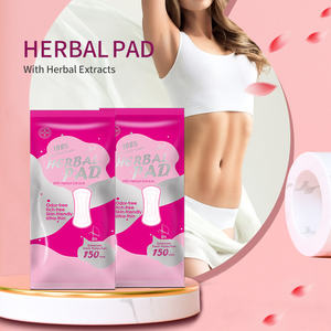 Almohadillas desechables de hierbas naturales para mujeres Almohadillas nutritivas para eliminar olores vaginales Almohadillas uterinas nutritivas - Product Image 3