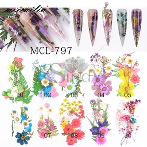 Decoración de <span class=keywords><strong>Uñas</strong></span> con <span class=keywords><strong>Flores</strong></span> <span class=keywords><strong>Secas</strong></span> Naturales en 3D, <span class=keywords><strong>Flores</strong></span> <span class=keywords><strong>Secas</strong></span> Reales de Colores Mezclados <span class=keywords><strong>para</strong></span> <span class=keywords><strong>Uñas</strong></span> Acrílicas - Product Image 1