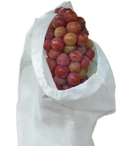 Popular Sales Nonwoven Plant Bag PP Fabric Spunbond for Fruit Protection Bag Nonwoven Banana Bag