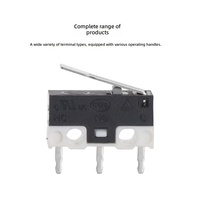 Micro-interrupteur à bouton-poussoir en laiton Gangyuan 3 broches 3A 125V avec levier court SPDT, type limiteur, IP41, pour usage domestique - Vente en gros