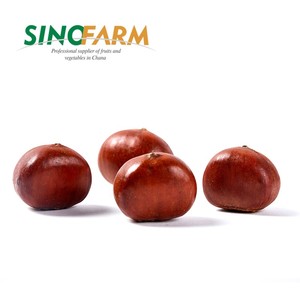 Castañas de Bajo Precio, Snacks y Galletas de Alta Calidad, Nueces de Grado de Exportación - Product Image 3