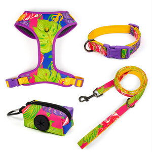 व्यक्तिगत डिजाइनर कस्टम प्रिंटिंग कोई पुल समायोज्य कुत्ते के लिए कॉलर और पट्टा सेट - Product Image 1
