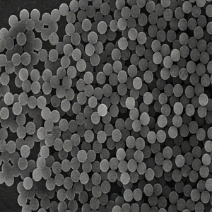 Microsphères magnétiques fonctionnelles tosyliques pour la conjugation biomoléculaire, l'immobilisation des anticorps et la recherche en laboratoire - Product Image 1