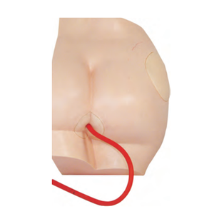 Modelo Médico de Inyección Muscular en Glúteos Humanos, Simulador de Inyección Intramuscular en Cadera - Product Image 1