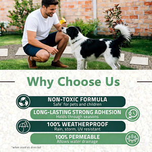 Colle transparente pour paillis de jardin, utilisée pour fixer les pierres sur liant de gravier en résine, colle à roche pour aménagement paysager - Product Image 6