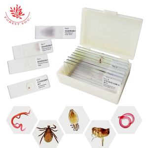 Preparación de Recursos Didácticos, Portaobjetos de Parásitos Transparentes, Portaobjetos de Parásitos Reales, Espécimen de Biología, Portaobjetos Preparados para Microscopio - Product Image 6