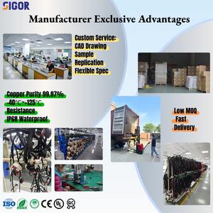 Fabricante de Conjuntos de Cableado Personalizados para Sistemas Eléctricos de Vehículos Recreativos - Product Image 4