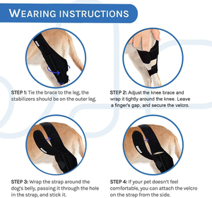 Deker lutut anjing Acl lengan pelindung cedera operasi, penjepit kaki anjing tali bantuan antilicin pemulihan <span class=keywords><strong>Arthritis</strong></span> ringan - Product Image 2